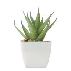 MO2852-06 product photo back L