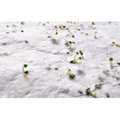 MO2993-06 product photo picture5 L