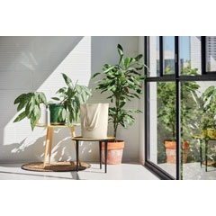 MO6159-13 product photo ambiant L