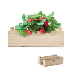 MO6506-40 product photo